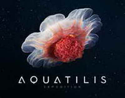 Исправление ошибок в бухгалтерском учете